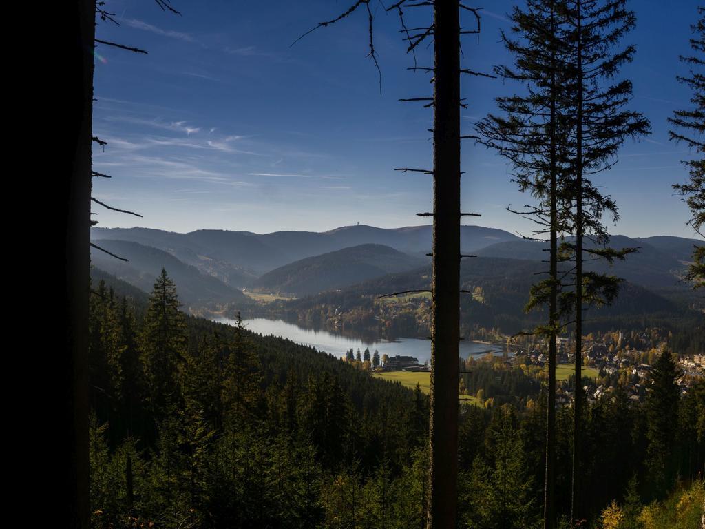 Ferienwohnung Am Eisweiher Titisee-Neustadt Buitenkant foto
