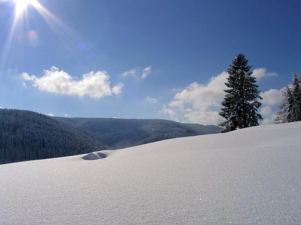 Ferienwohnung Am Eisweiher Titisee-Neustadt Buitenkant foto